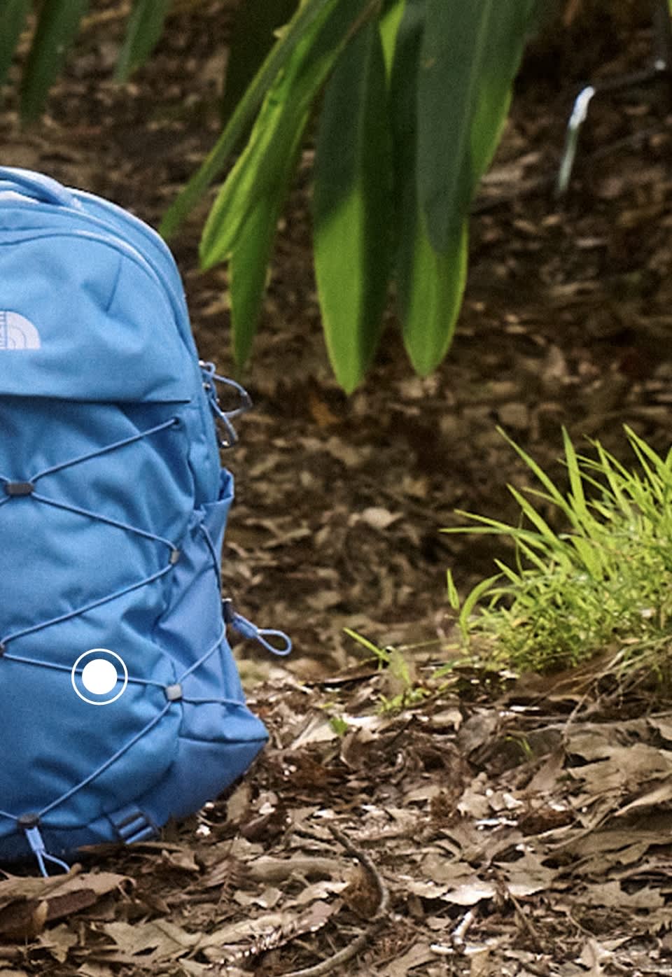 Five colorful Borealis backpacks sitting on the forest floor.