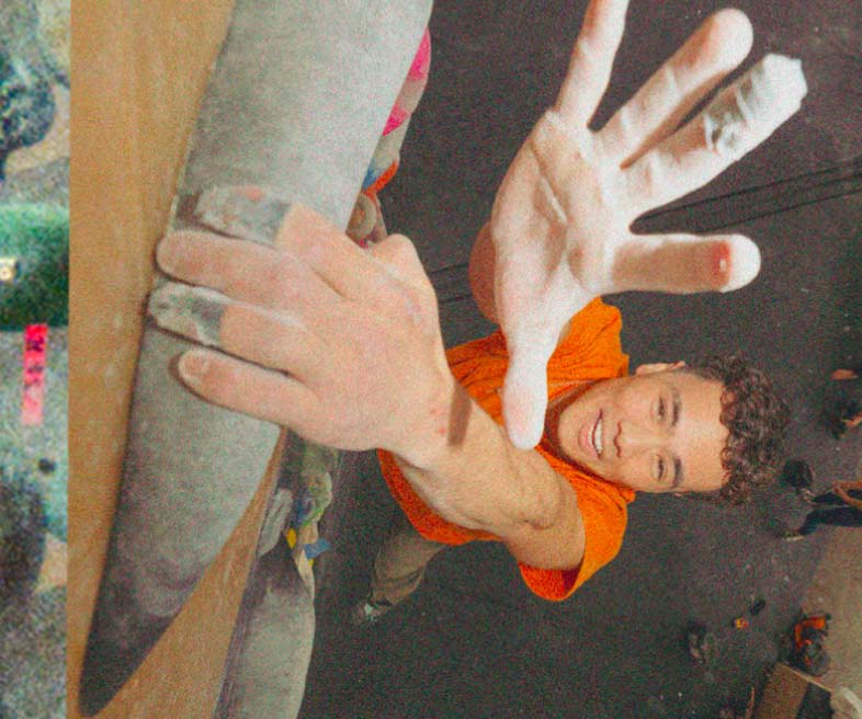 Climbers in a climbing gym.