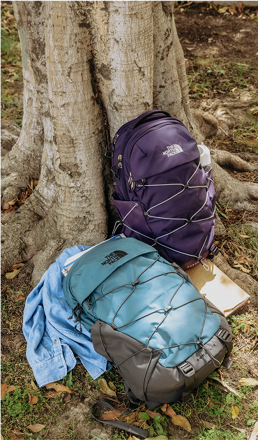 A backpack from The North Face in the grass.