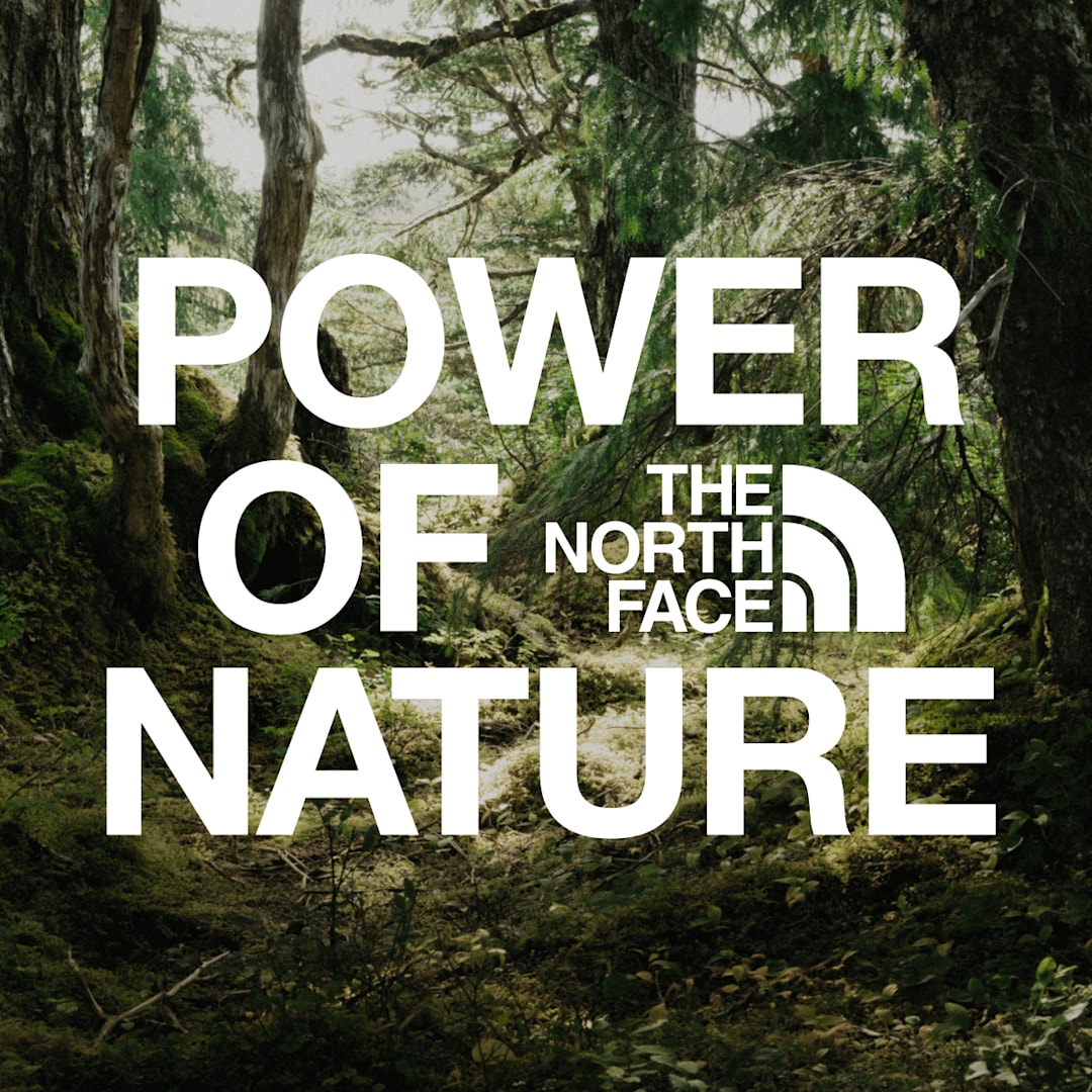 Video compilation of nature imagery.