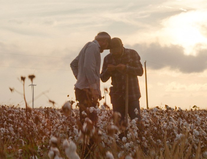 Two people in a cotton field analyzing raw materials
