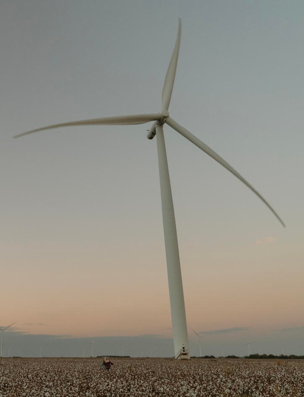 A windmill in a field