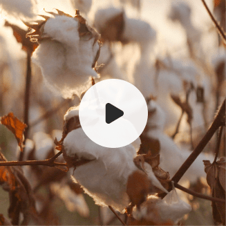 Video still and play button