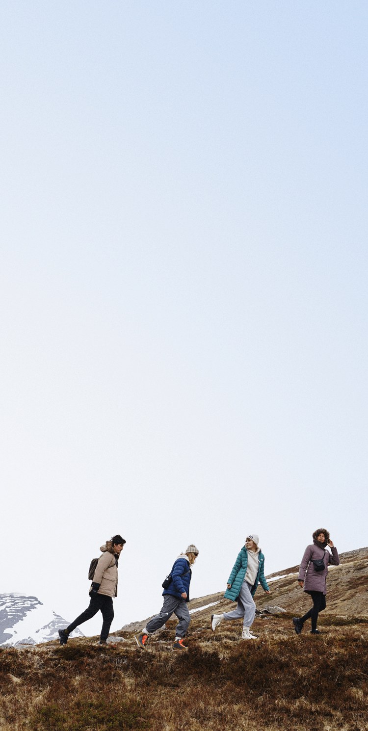Four hikers walking across a tundra.
