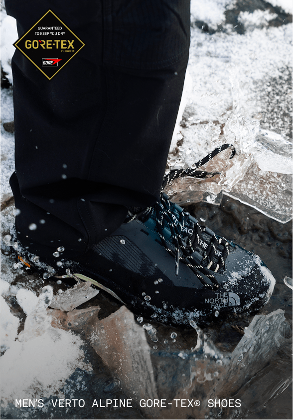 Shoe-covered foot on a rock.