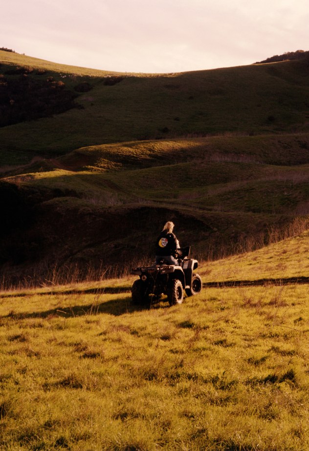 A person rides and an ATV across hilly terrain.  