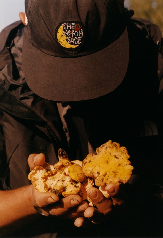 A man holds mushrooms wearing his The North Face x Sky High Farm Goods hat.