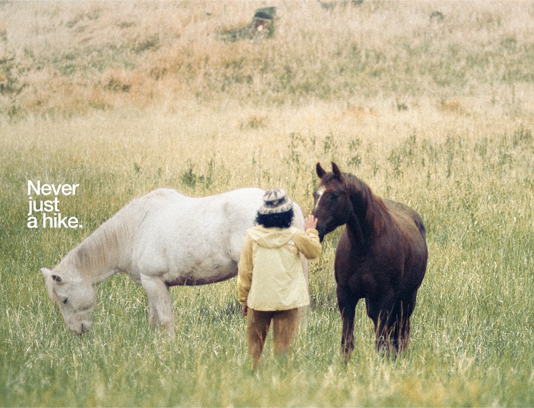 A woman wearing a yellow jacket facing a white and brown horse