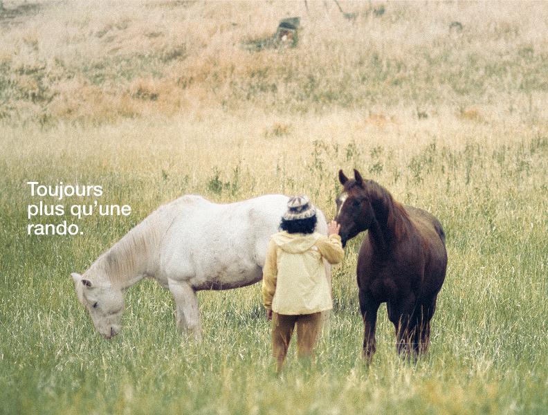 Une femme portant une veste jaune face à un cheval blanc et brun.