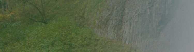 Paroi rocheuse recouverte de mousse avec une cascade au milieu.