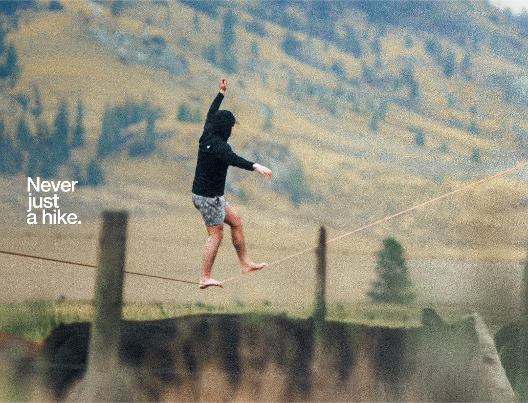 A person in a black hoodie balancing on a slackline with a herd of cows walking underneath.