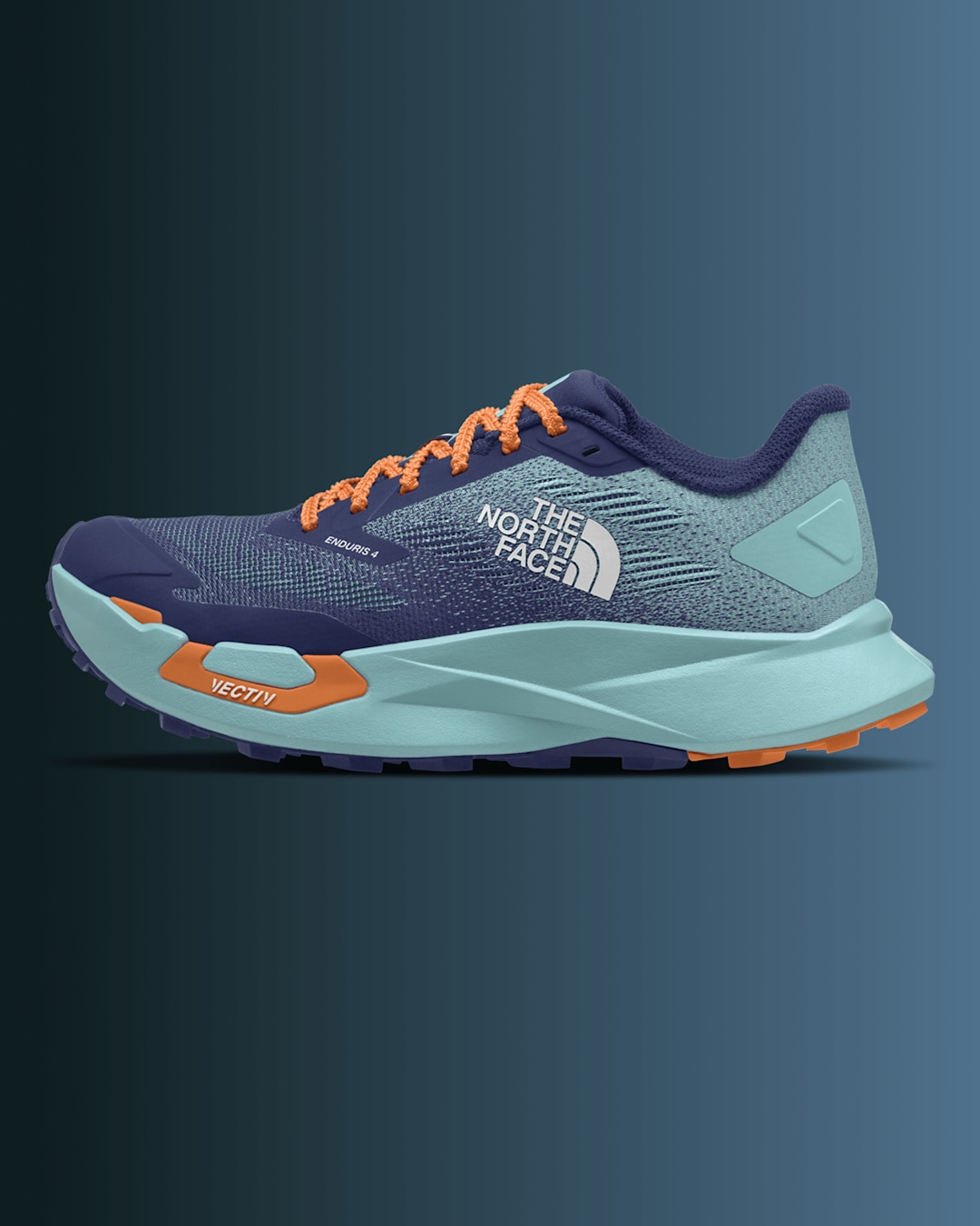 Image of The North Face Altamesa shoe on a gradient background.