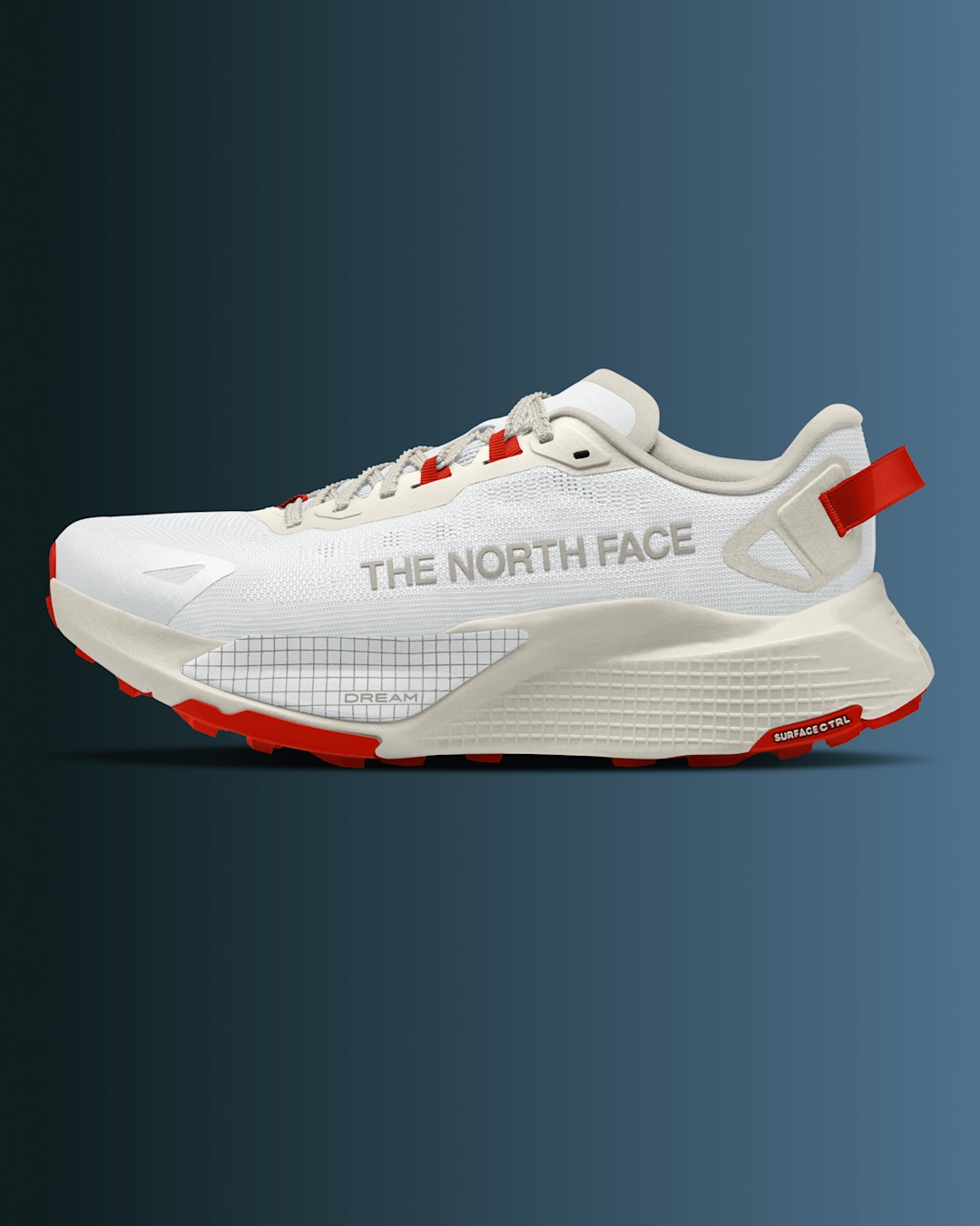Image of The North Face Altamesa shoe on a gradient background.