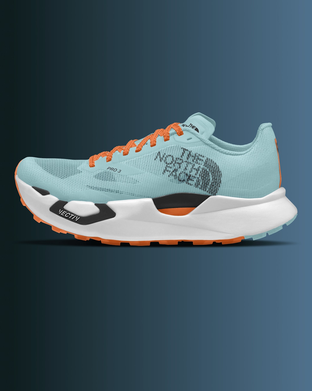 Image of The North Face Altamesa shoe on a gradient background.