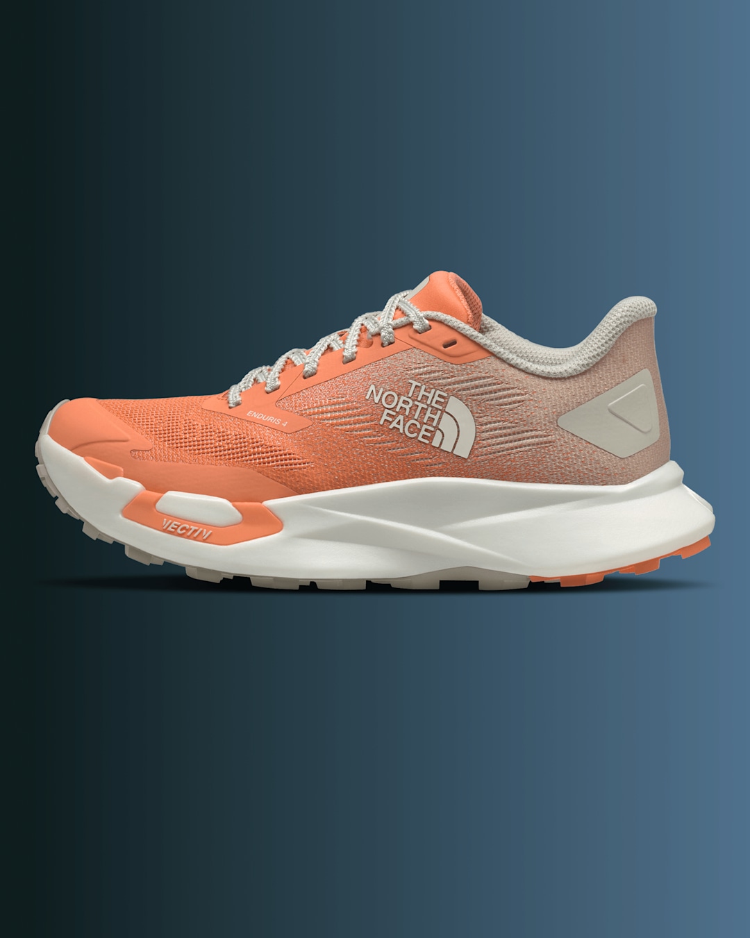Image of The North Face Altamesa shoe on a gradient background.