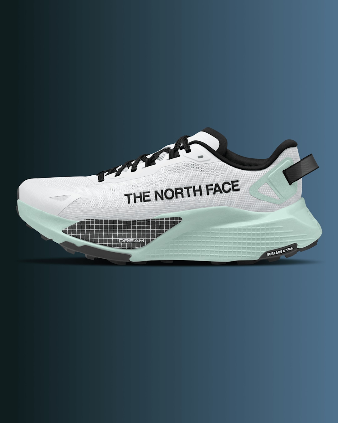 Image of The North Face Altamesa shoe on a gradient background.