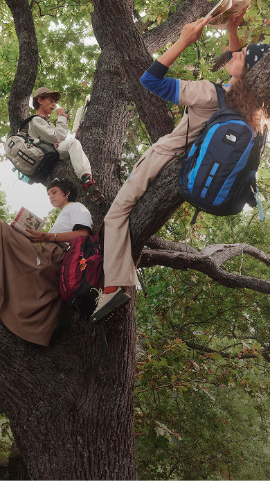 Un groupe de jeunes assis dans un arbre avec leurs sacs d’école, en train de lire des livres.