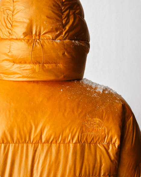 Close-up shot of the back of a yellow hooded jacket with snow on the right shoulder.
