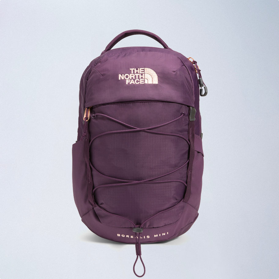 An image of a Kids' purple Borealis backpack.