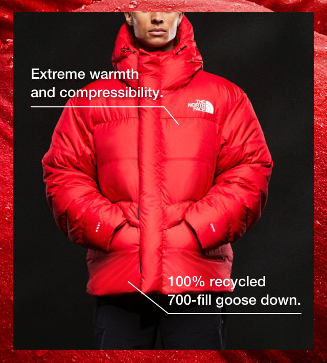 Shop The North Face Nuptse Boxy Jacket | Saks Fifth Avenue