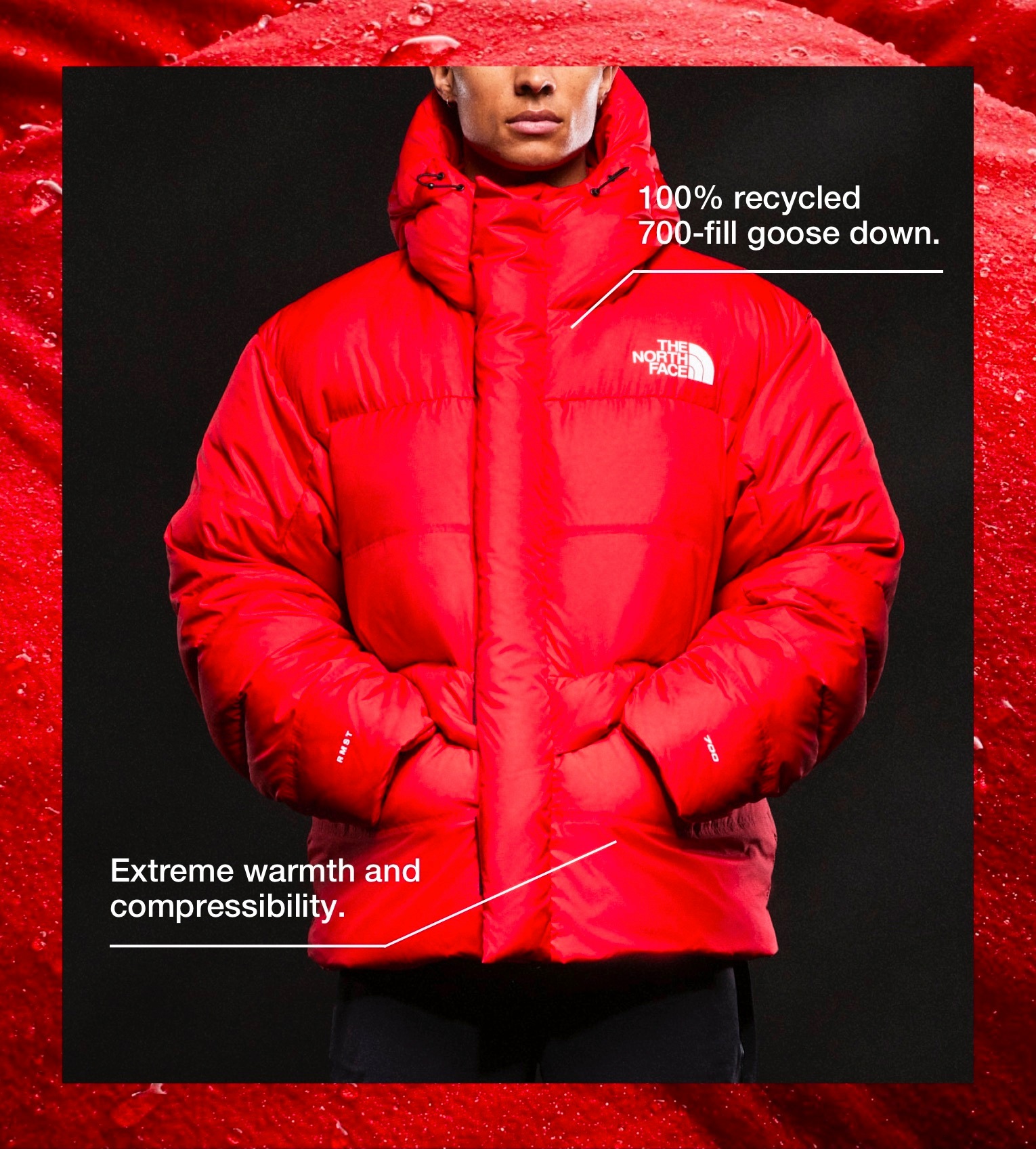 The North Face® Icons Remastered | The North Face