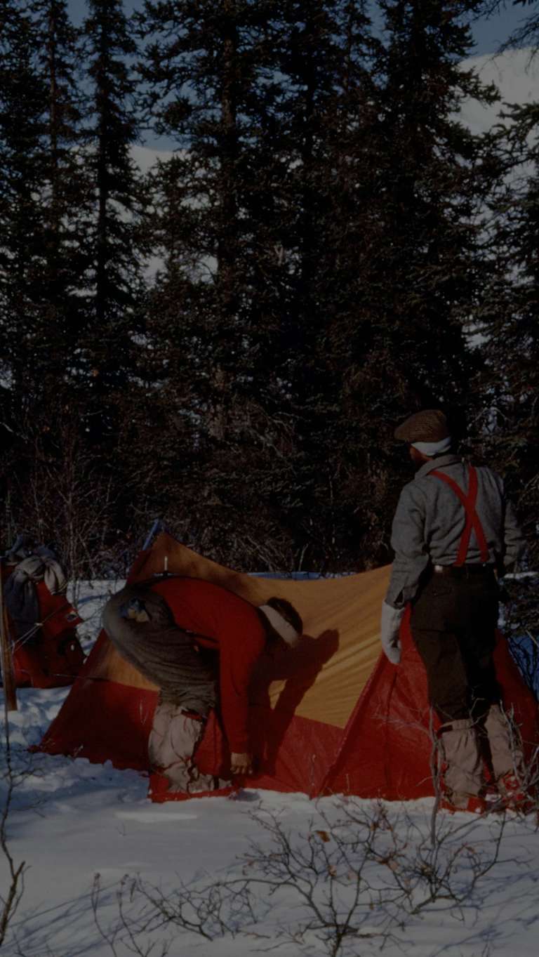 Expedition for the earth.