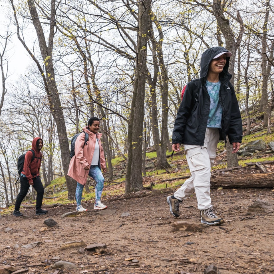 3 people hiking in a wooded area