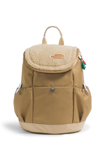A Youth Mini backpack by The North Face.