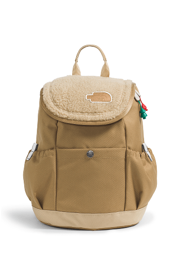 A Youth Mini backpack by The North Face.