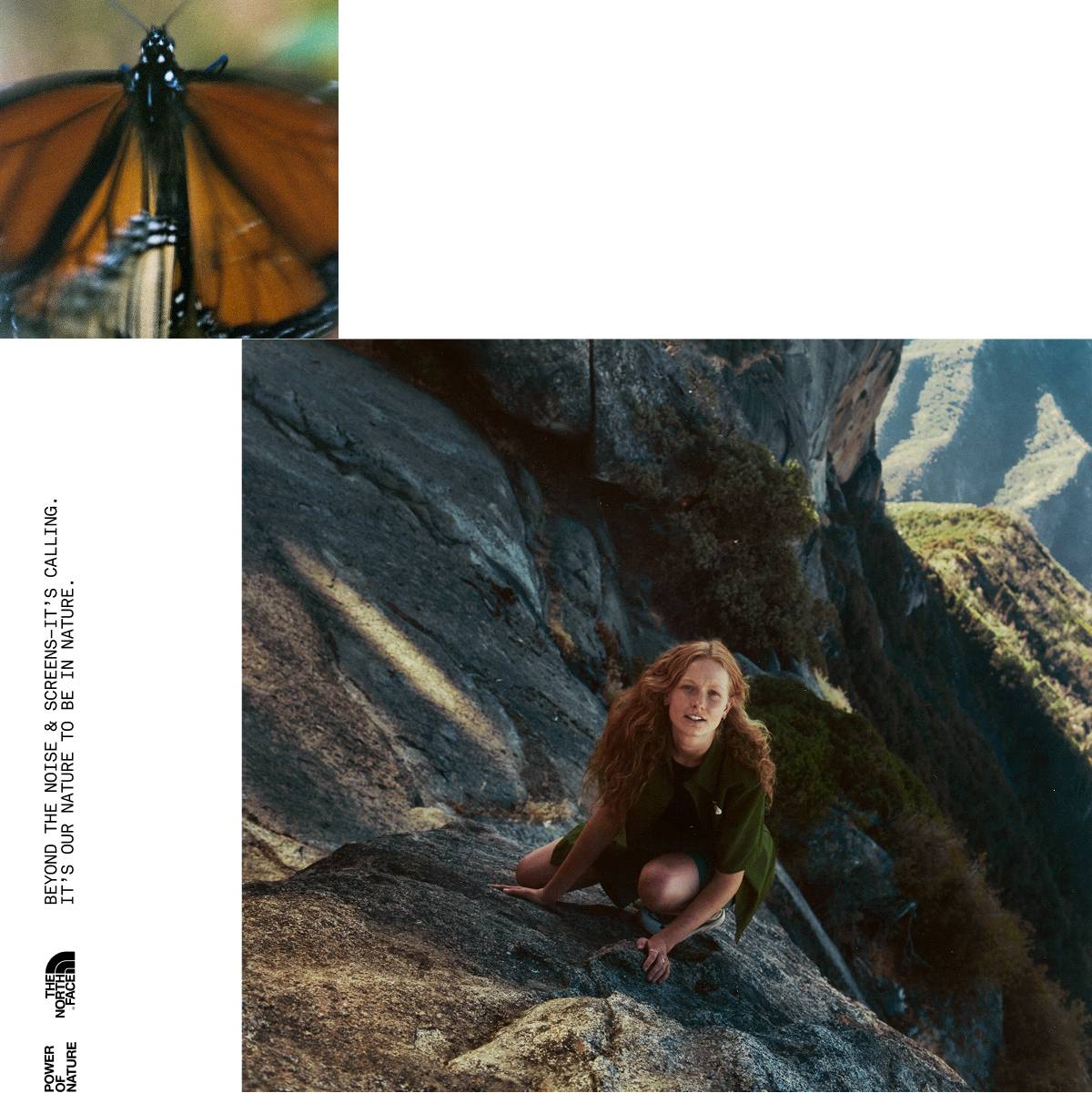 Two square images, one of an orange butterfly and one of a woman climbing a rock face.