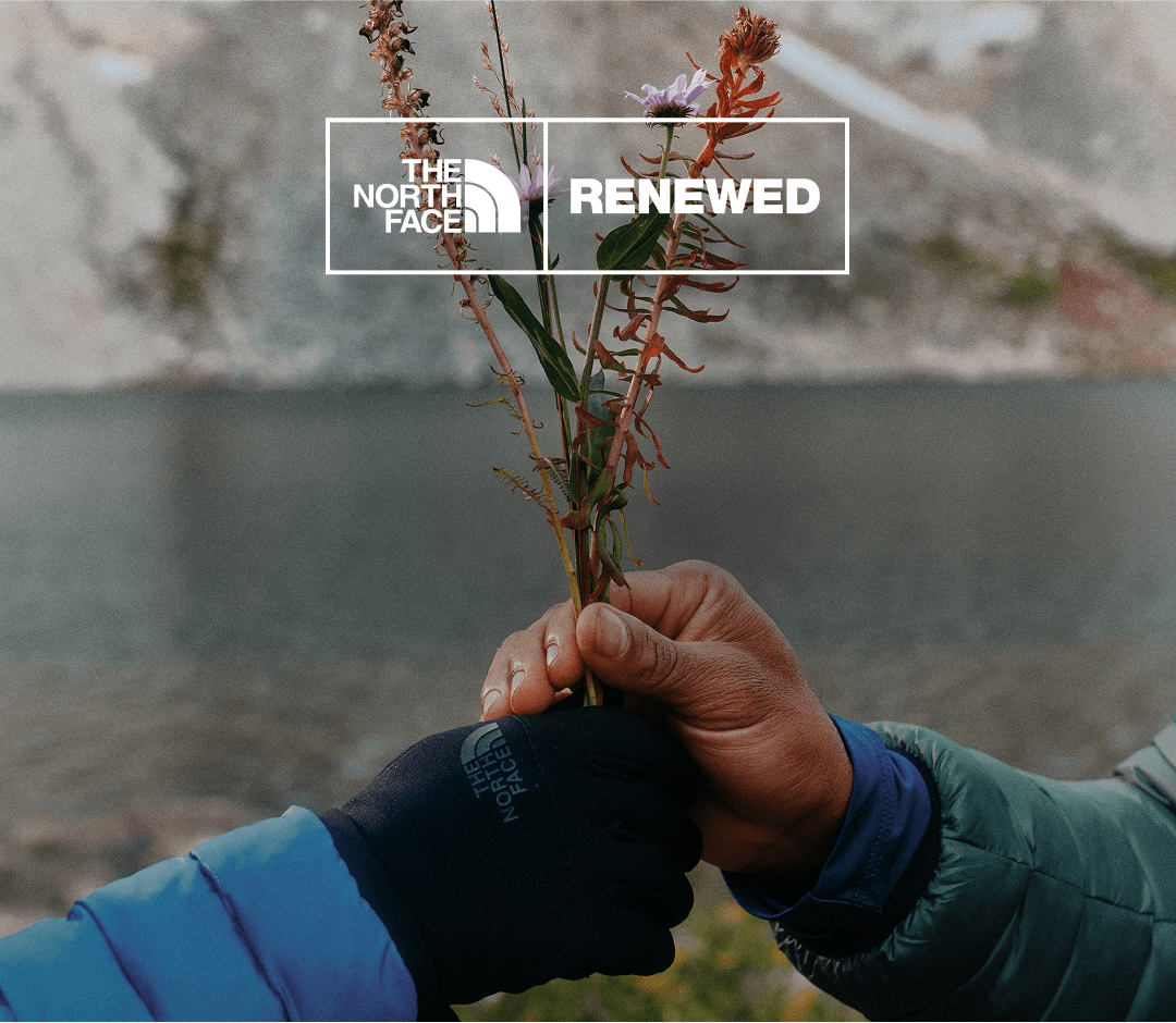 two hands holding a flower next to a lake.