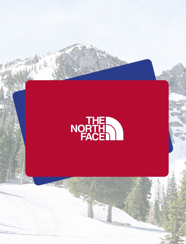 Buy north face gift card on sale