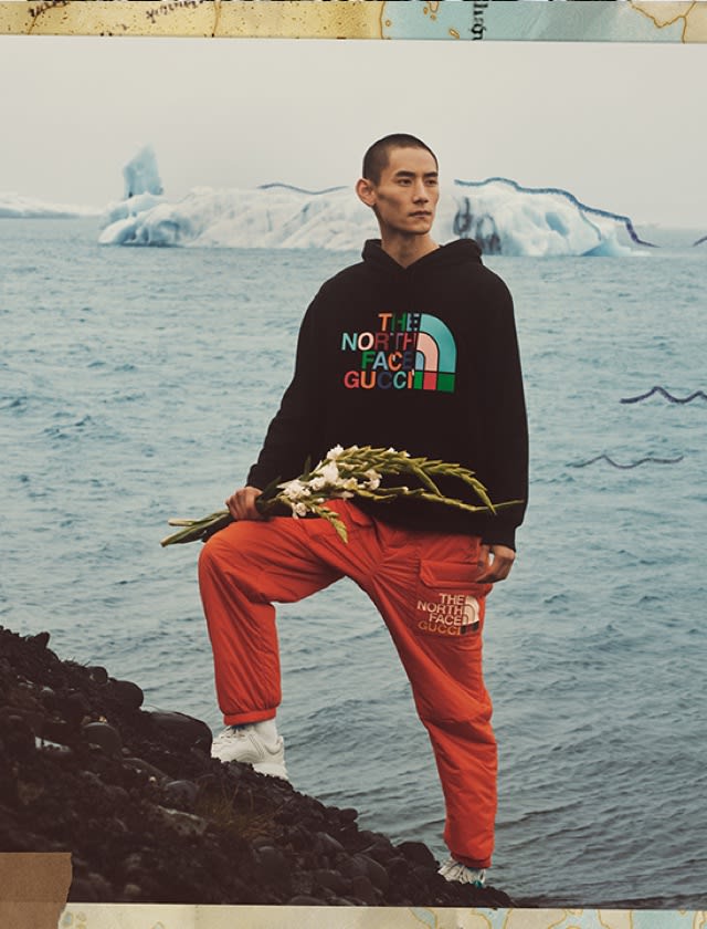 Gucci the north face hoodie sale