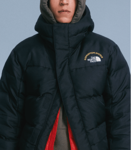 Parka homme north face solde sale