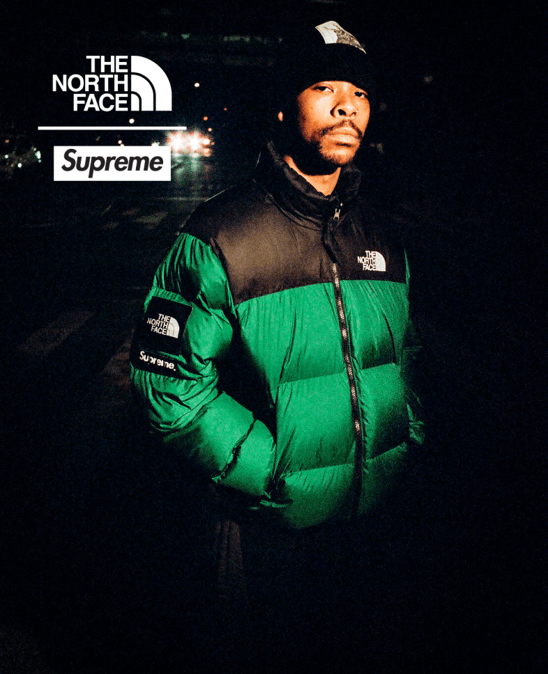 Supreme x north face leather jacket on sale