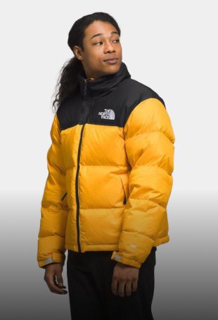North face mens coats uk deals