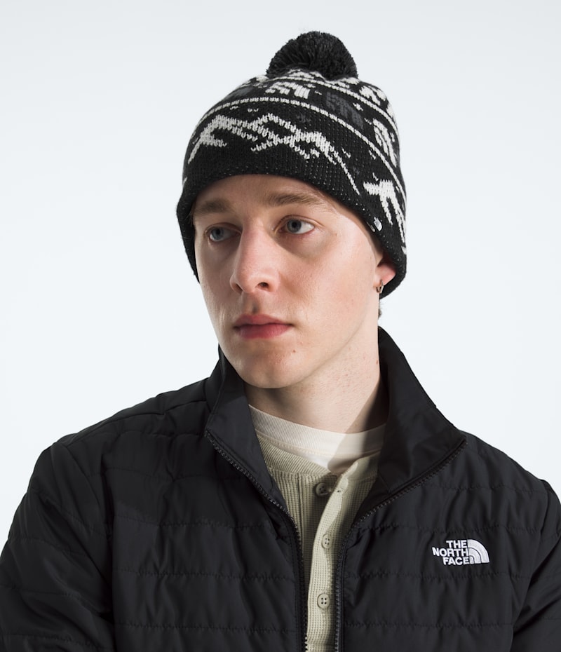 Головные уборы The North Face Cabin Ski Tuke, цвет: Чёрный — фото 2