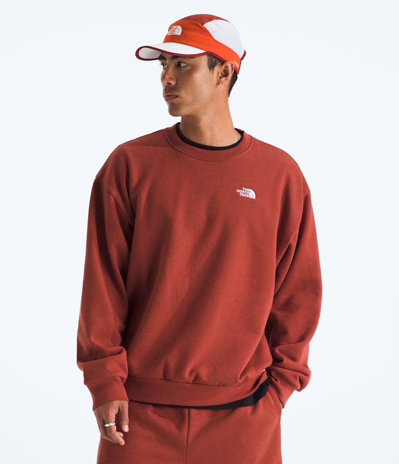 Мужской свитшот оверсайз The North Face Evolution Simple Dome, цвет: Железный глиняный