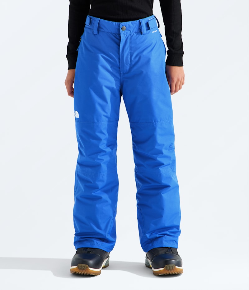 Брюки The North Face Freedom Insulated Pants для мальчиков, цвет: Синий