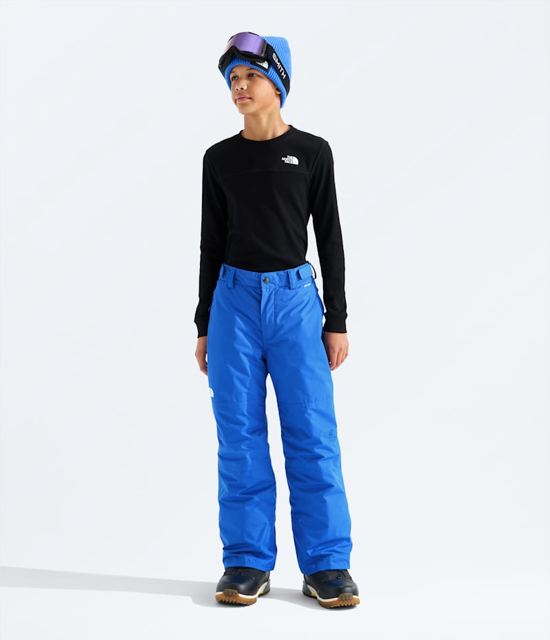 Брюки The North Face Freedom Insulated Pants для мальчиков, цвет: Синий — фото 2