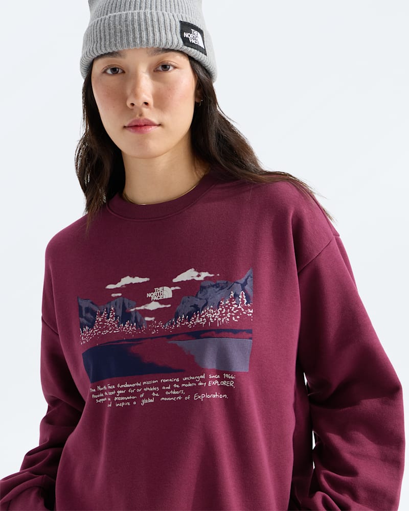 Женский свитшот оверсайз The North Face Evolution Mountain Oasis, цвет: Бордовый — фото 2