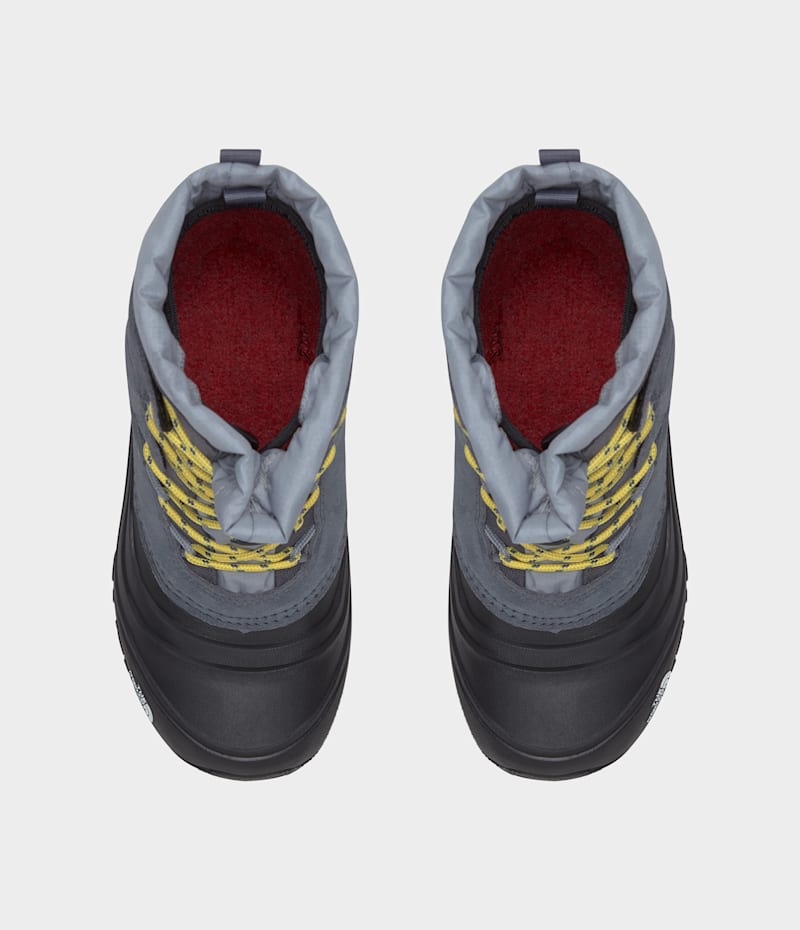 Детские ботинки The North Face Youth Alpenglow V Waterproof Boots — фото 2