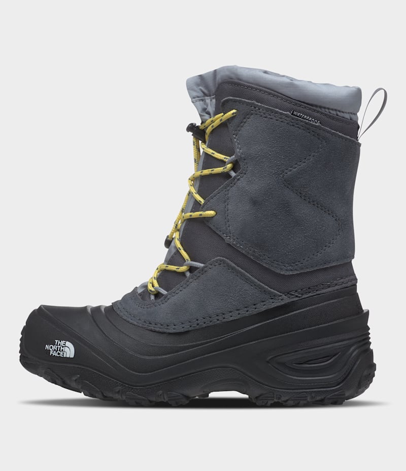 Детские ботинки The North Face Youth Alpenglow V Waterproof Boots