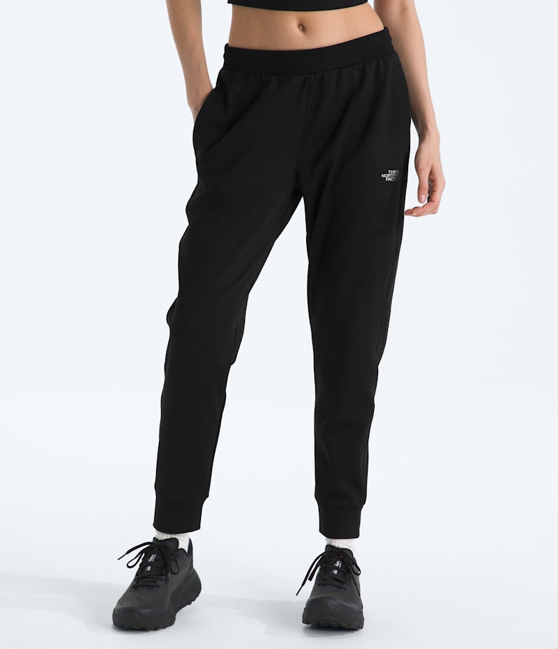 Женские брюки The North Face Women’s TNF Performance Fleece SW Pants
