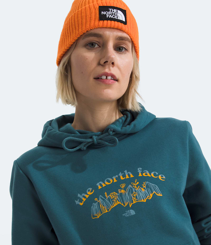The North Face Women’s Evolution Retro-Growth Hoodie—Graphic — фото 3