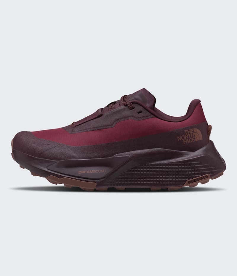 Обувь The North Face Women’s Altamesa 500 V2 GORE-TEX Shoes