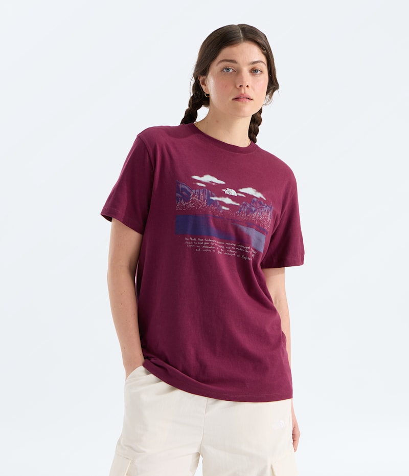Женские футболки The North Face Women’s Evolution Mountain Oasis Relaxed Short-Sleeve Tee