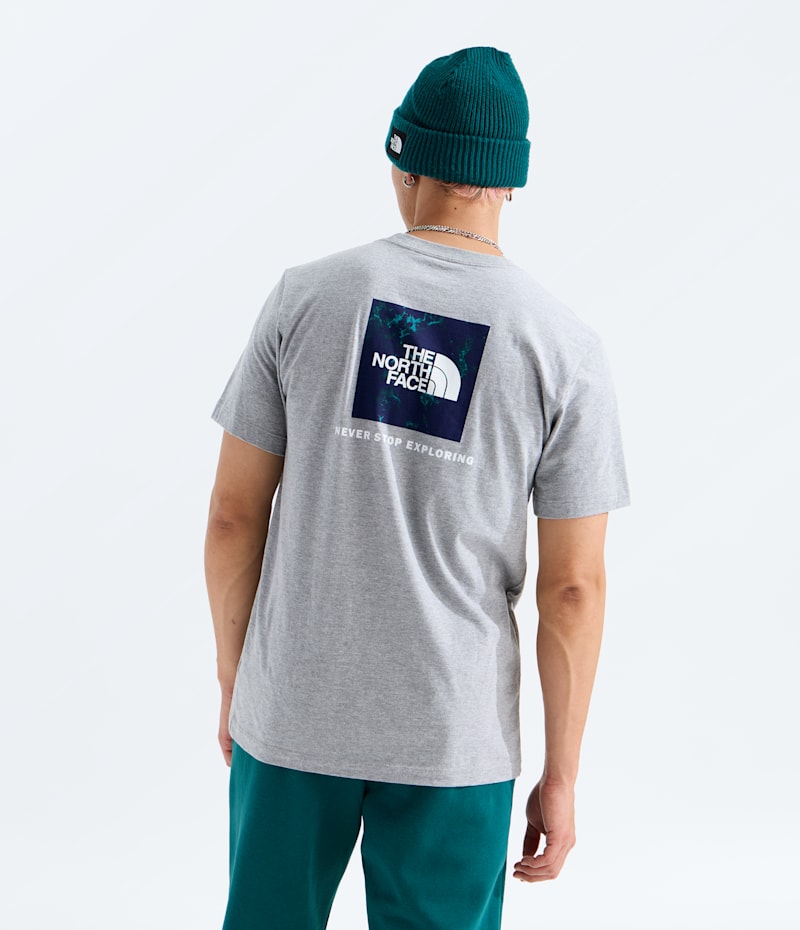 Мужские футболки The North Face Men’s Evolution Light Print Box NSE Regular Short-Sleeve Tee