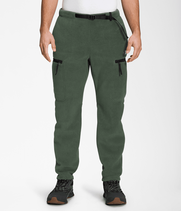 Men's Alpine Polartec® 200 Pants | The North Face