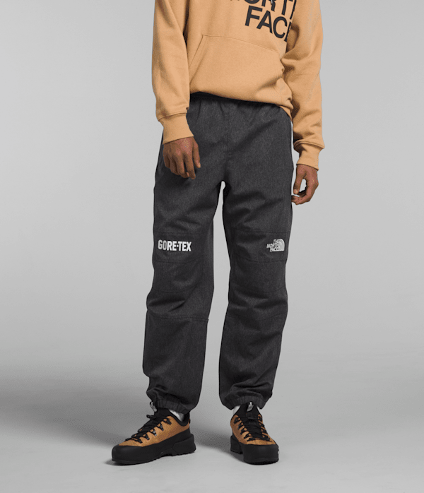 Men's GORE-TEX® Mountain Pants The North Face